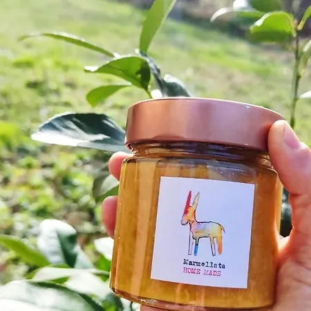 Contrada Del Raglio 波滕扎皮切纳