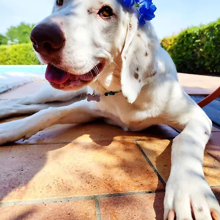 Contrada Del Raglio Vakantieboerderij