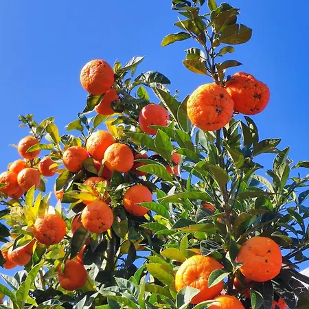 Contrada Del Raglio Farm stay