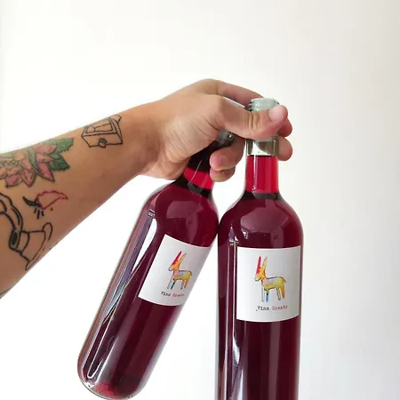 Contrada Del Raglio Vakantieboerderij Potenza Picena